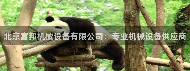 九游会主页