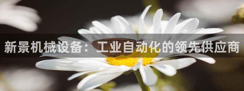 九游会俱乐部