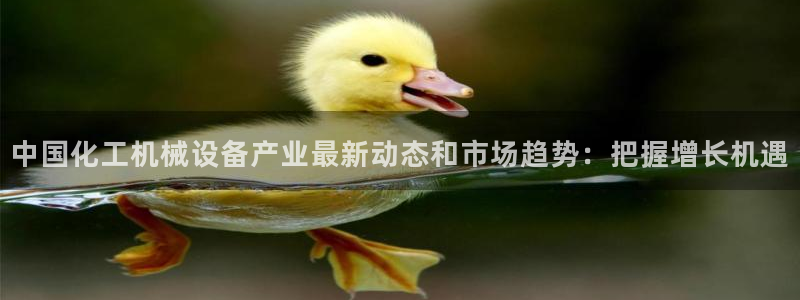 j9九游会老哥俱乐部官网