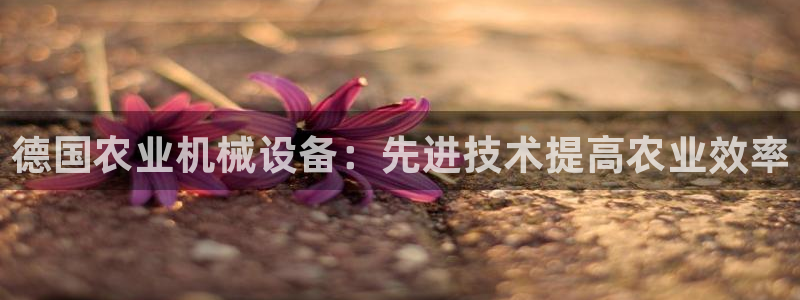 九游会官方链接
