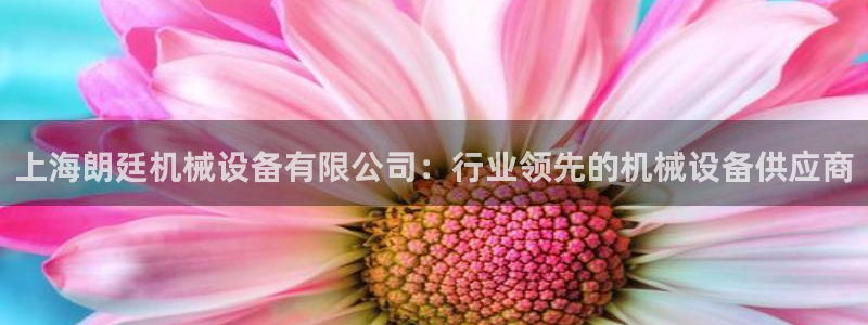 九游会网站网