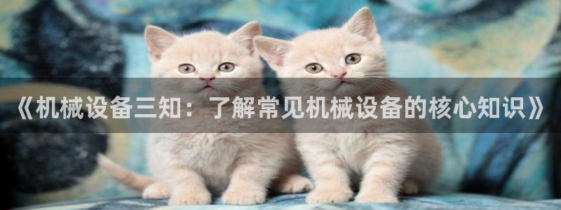 J9九游会官方平台
