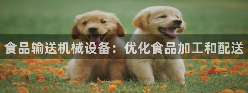 ag九游会app下载版官网正版